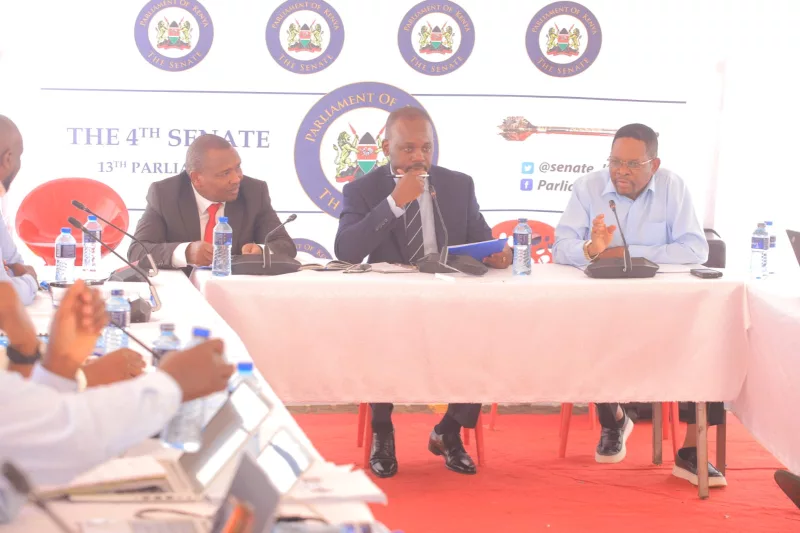 Senate rejects Mung’aro request to skip probe