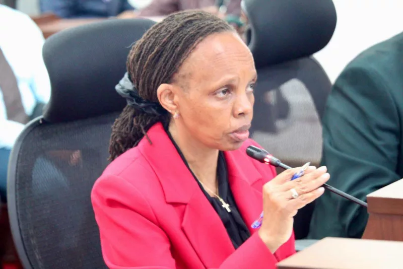 Institutions owe KUCCPS Sh300m in accrued placement fees