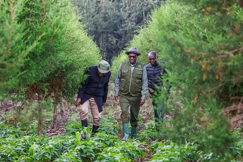 When conservation becomes an investment in people, nature and prosperity