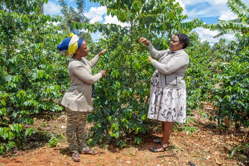 Kirinyaga residents petition MCAs over growth priorities