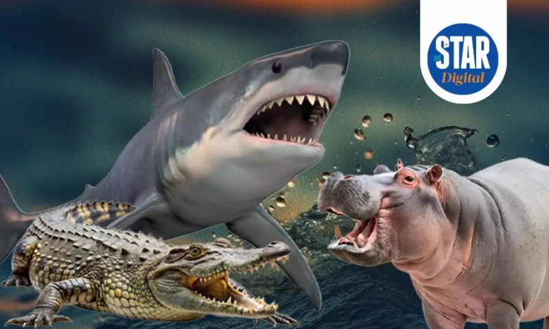 Animals with the strongest bites on earth