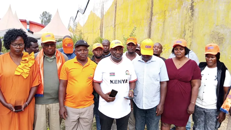 ODM's Majimaji urges peace ahead of Linda Mwananchi rally