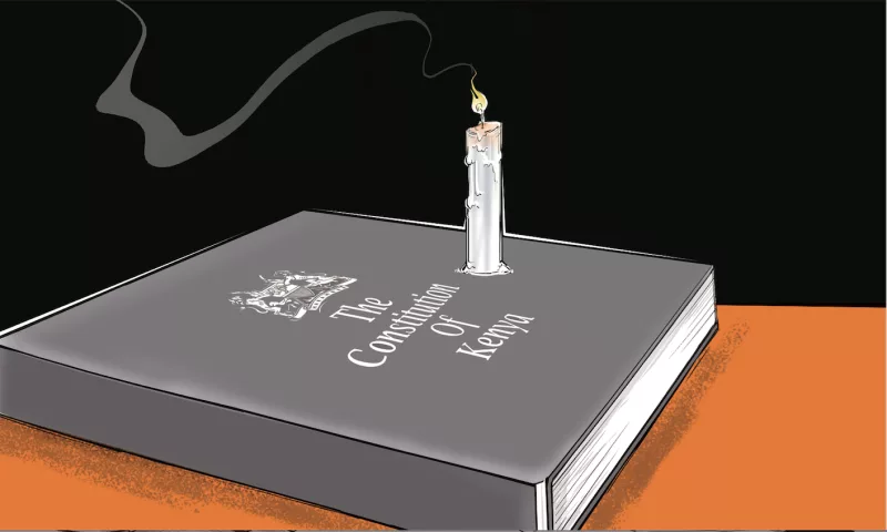 Katiba Day: Missing government audit of constitution