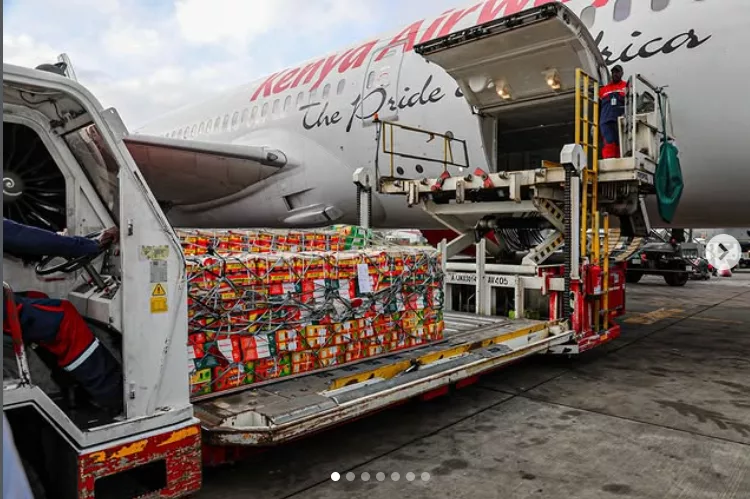 Kenya Airways cargo loads an apple mango consignment for export to the UK /KQ
