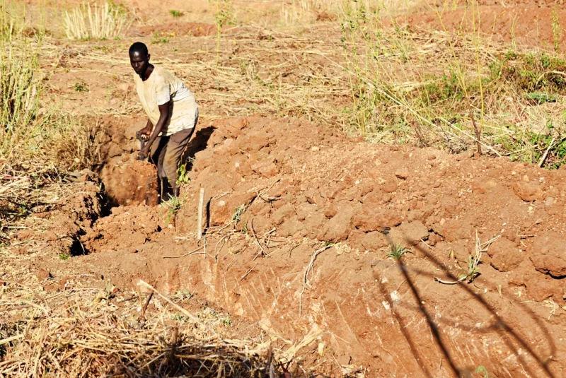Threat of El Niño now puts Kitui farmers on high alert