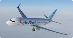 What we know about Dubai-Israel plane incident after reported stabbing