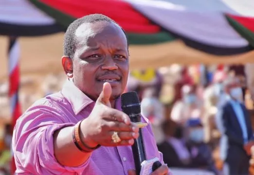 I preferred Kioni as Jubilee leader – Ex-MP Wambugu