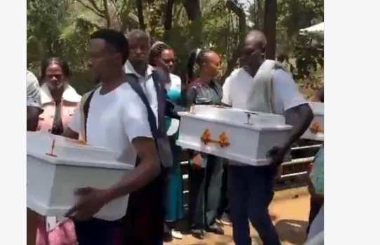 Kanini’s five babies begin final journey to Migori