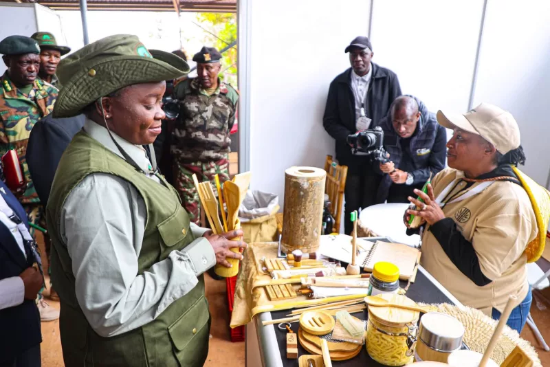 State outlines plan to fix bamboo sector