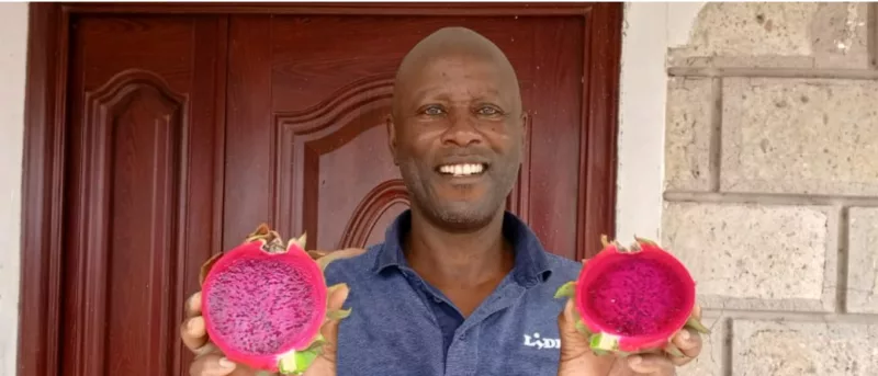 Engineer turns curiosity sparked in China into dragon fruit farm