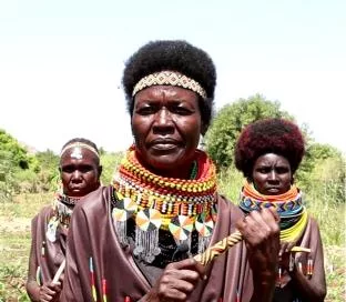 Farmers in Turkana turn to cowpeas as a lifeline against harsh climate