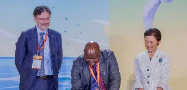 Photo: The Star Half of all migratory birds dying away, Nairobi Summit told