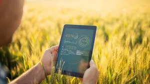 Local data to shape the future of AI in Kenya’s agriculture