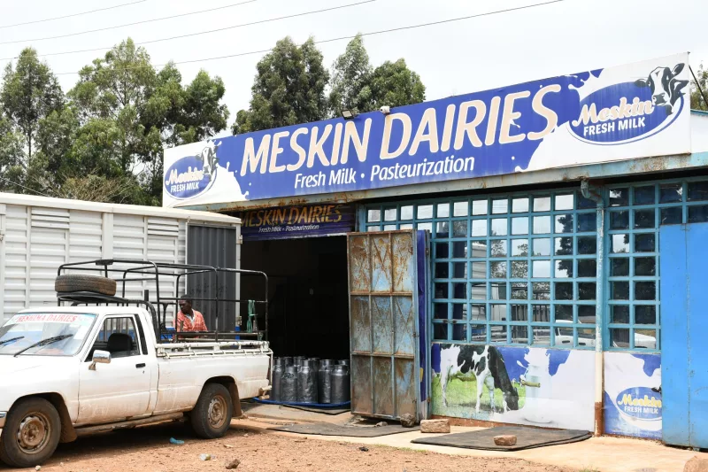 DSC -7570-A worker at Meskin Dairies in Nyeri inspects milk cans in a waiting delivery pickup truck on September 3 2026.