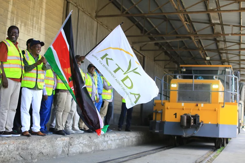 State commits Sh10bn to modernise tea factories, boost farmers’ incomes