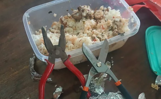 Pliers hidden in rice: Cops foil jailbreak plot