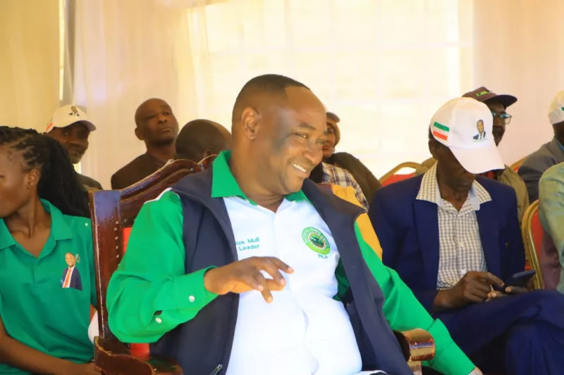 Muli questions ‘Kalonzo Tosha’ narrative
