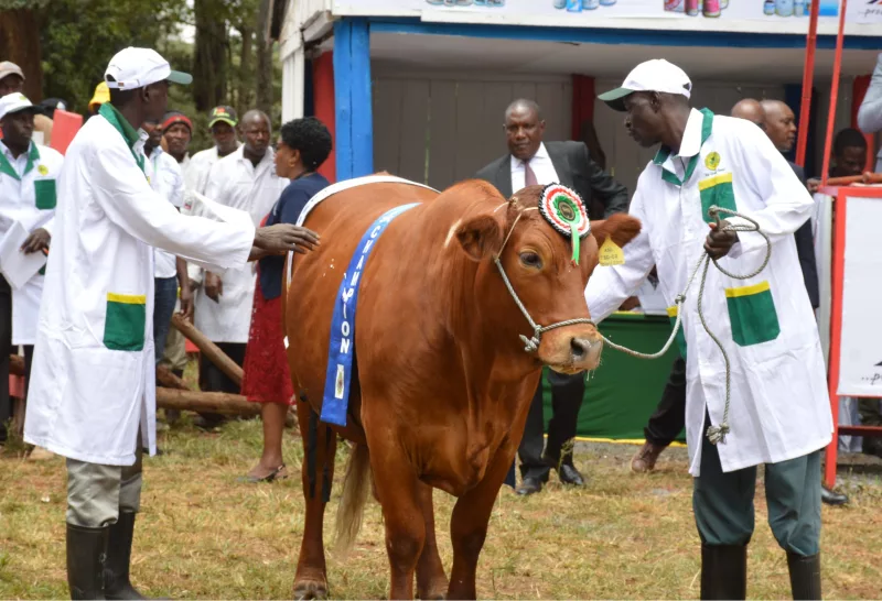 All systems go for Nairobi Show as security tightened