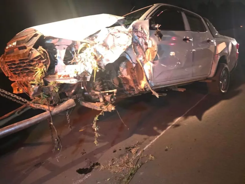 “I’m safe, just muscle pulls”: MP Gisairo after crash