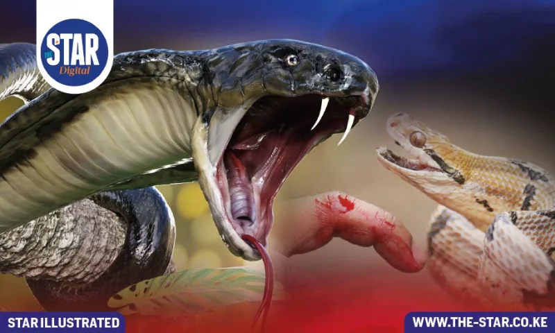 Kenya Marks Snakebite Awareness Day as Officials Report Over 1,000 Deaths a Year