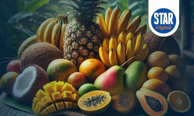 Value in Sh generated from fruits production over the past five years