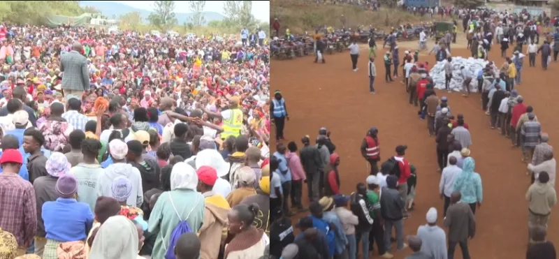 Over 6,000 Kiambu farmers get maize seeds, fertiliser