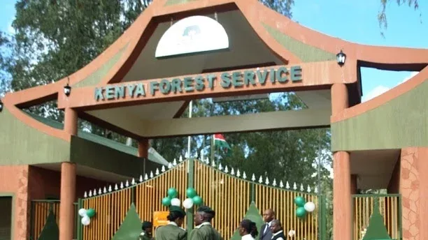 Karura Forest row: KFS, Muthaiga Golf to hold talks