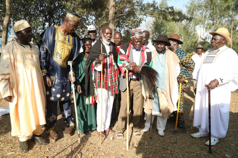 Members of the Luo Council of elders./KNA