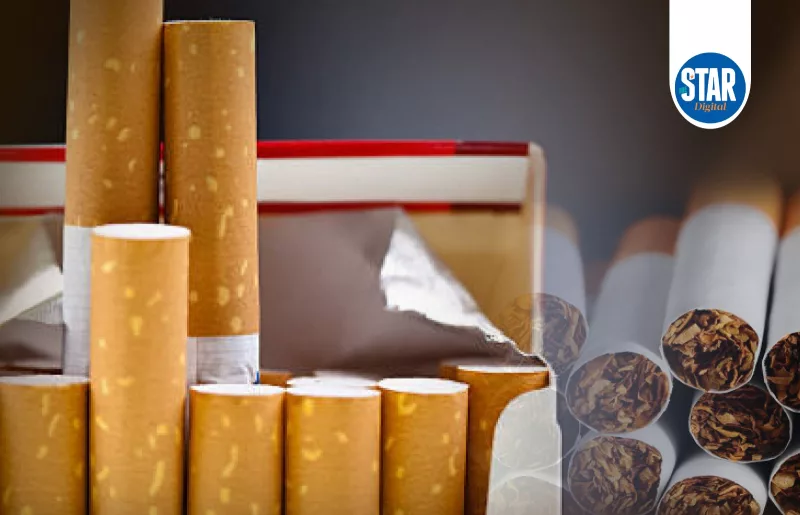 Main cigarette exporters in 2024, Africa