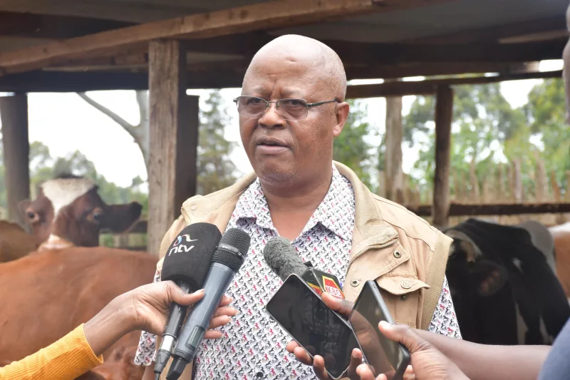 Maize shortage hits dairy farmers as feed costs soar