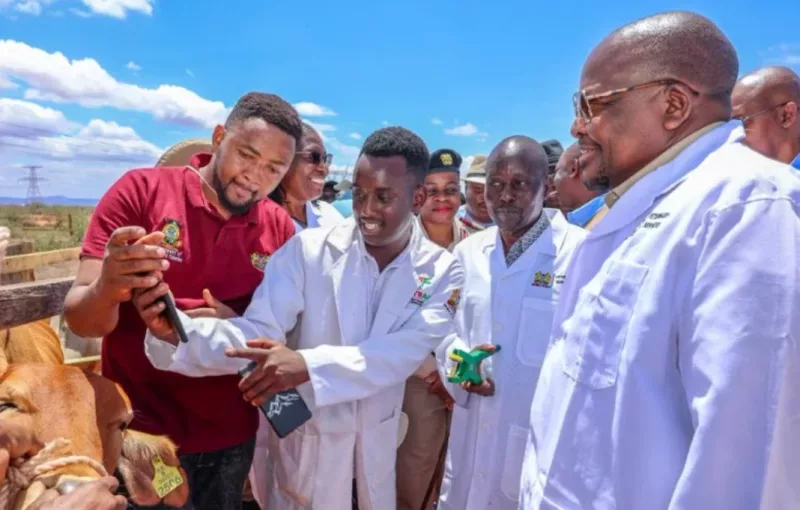 Bachuma centre to unlock Sh30bn livestock exports