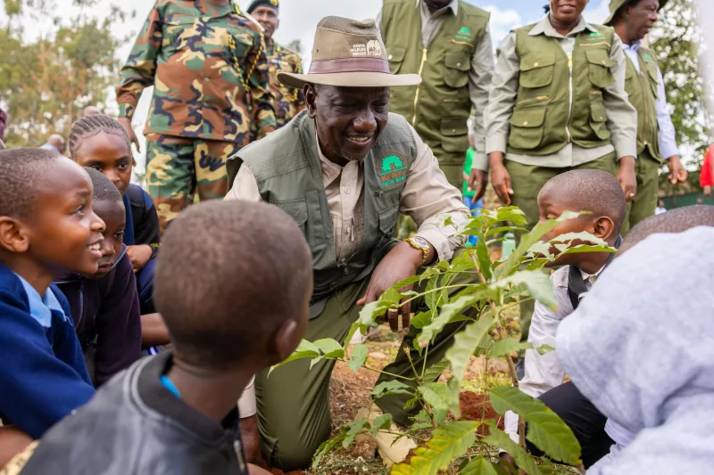 Ruto@4: What happened to 15bn-tree promise?