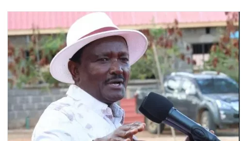 ‘It was painful’: Kalonzo on Raila running mate interview