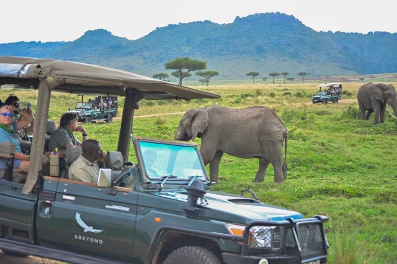 World Athletics 2029: Kenya lines up tourism jackpot