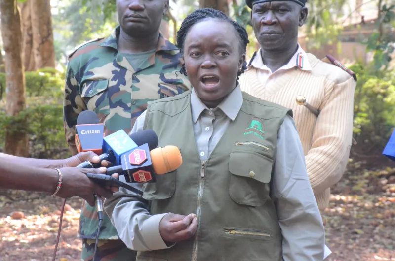 CS Barasa: 85% of ongoing Mount Kenya forest wildfire contained