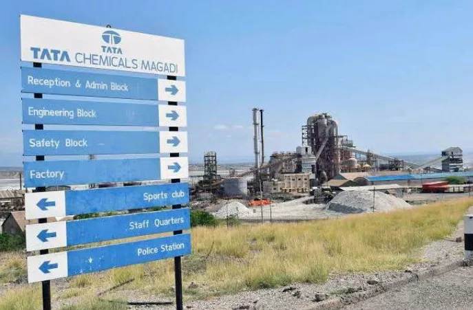 MUGWE: The real Magadi question is what comes after mining