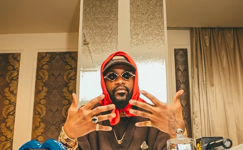 Watch: Beautiful Moment Fans Sang Along with Fally Ipupa On Stage