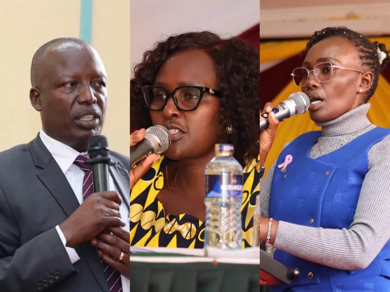 MPs begin public hearings on Basic Education Bill 2026