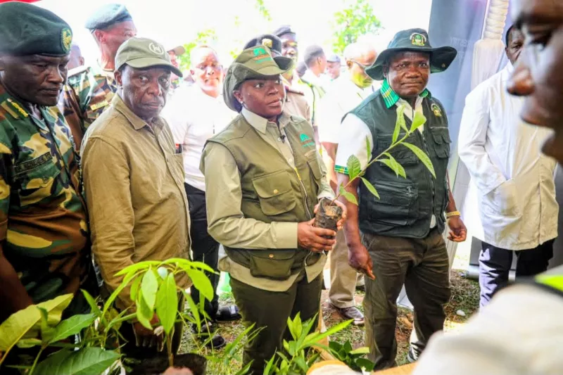 Families in three forests to get title deeds at last