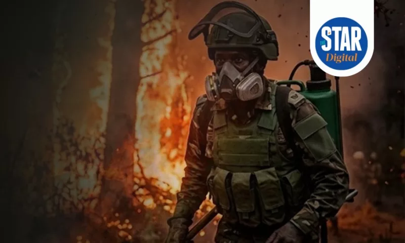 What you can do during a wildfire