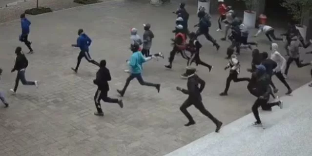 Goons, ngoons and koons: The economics of political violence