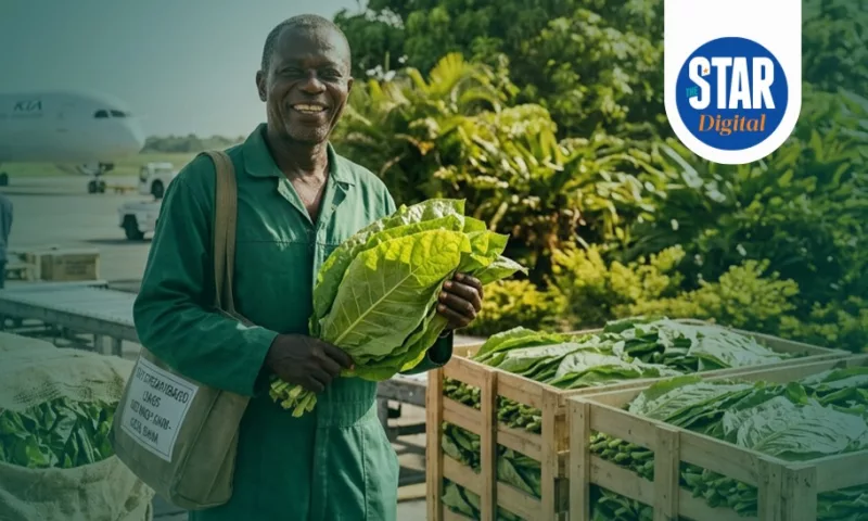 Main tobacco leaf importers in 2024, Africa