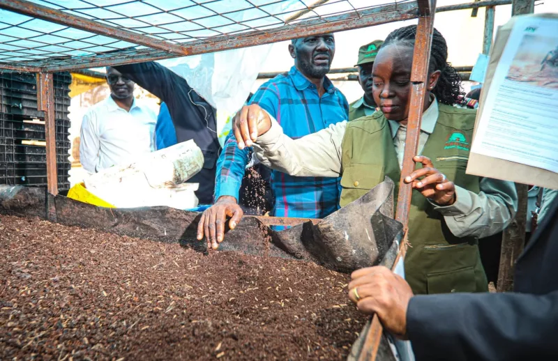 Avocado farmers challenged to adopt safe waste disposal