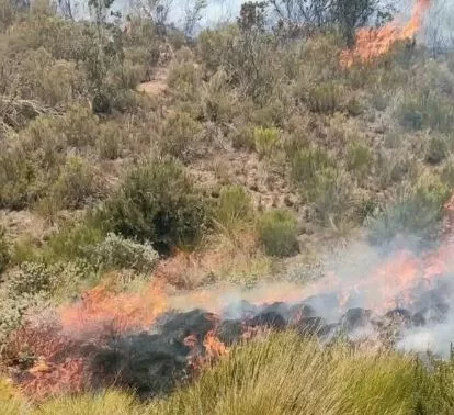 Mount Kenya wildfire destroys 8,700 hectares
