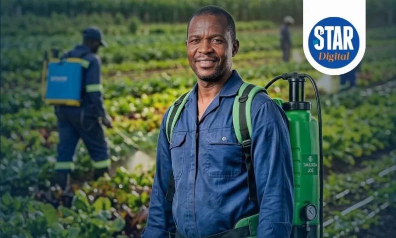 Top users of pesticides in Africa