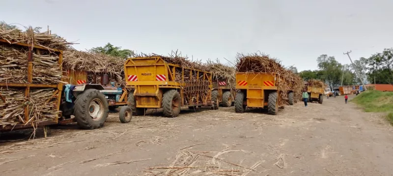 Sugarcane trucks at Chemelil Sugar Factory