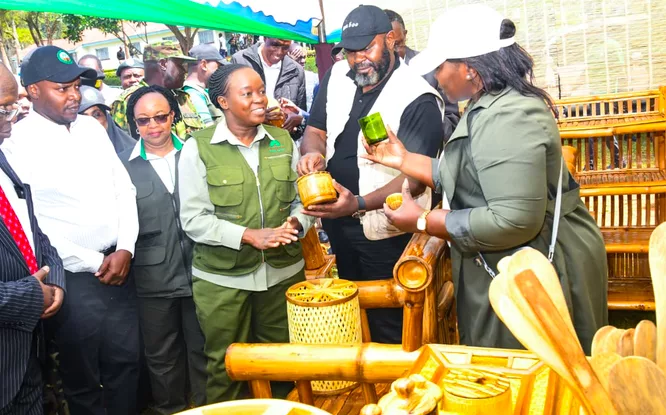 State moves to make bamboo a major cash crop
