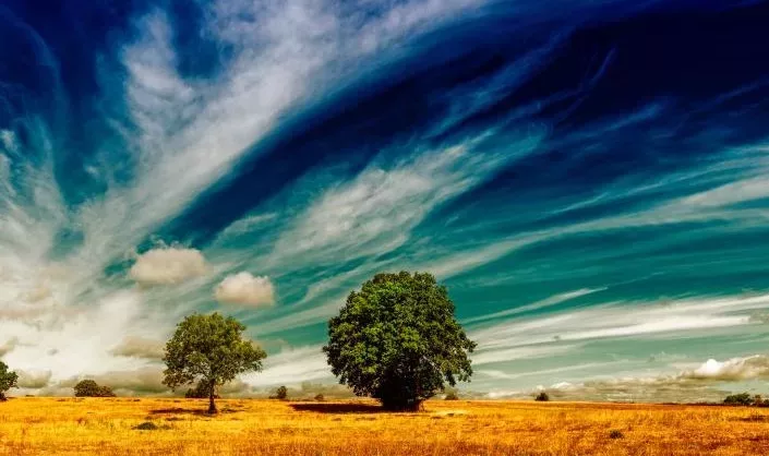 A strengthening El Niño coupled with a positive Indian Ocean Dipole is expected to reshape Kenya's weather in the coming months. /WMO