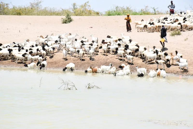 Lifeline for Lagdera: Rigdam water scheme cuts drought crisis and conflict