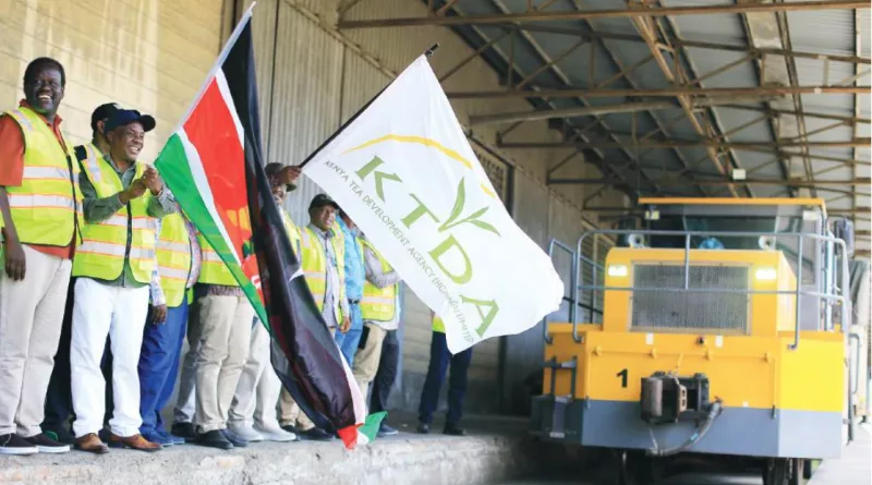 Tea farmers earn Sh187bn after 4 years of reforms